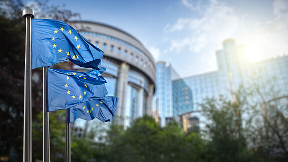 European union flag against parliament in Brussels flag, european, parliament, euro, brussels, eu, union, architecture, belgian, belgique, belgium, blue, bruxelles, building, bureaucracy, bureaucratic, business, city, cityscape, commission, committee, construction, corporate, development, europe, exterior, finance, front, glass, green, institution, landmark, modern, office, outdoors, park, politics, power, reflection, sky, skyscraper, spring, street, style, success, summer, symbol, travel, tree, unity