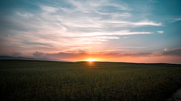 Horizont