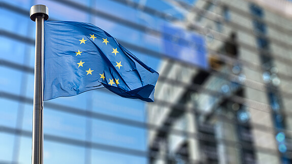 EU Flagge