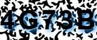 grafischer Sicherheitscode