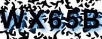 grafischer Sicherheitscode